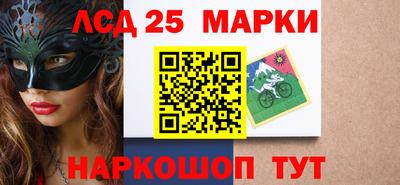 гашик Моздок