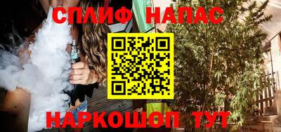 гашик Моздок