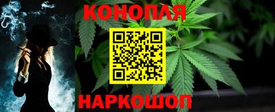 гашик Моздок