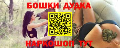 гашик Моздок