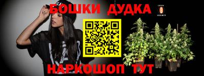 гашик Моздок