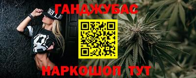 дживик Можга