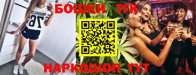 гашик Моздок