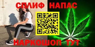 дживик Можга