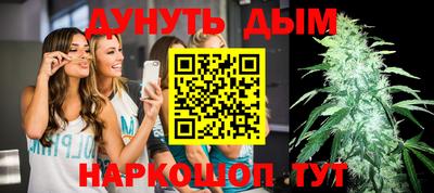 гашик Моздок