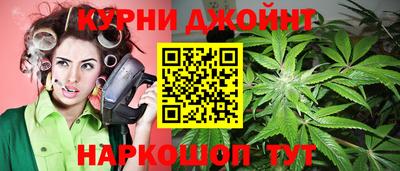 дживик Можга