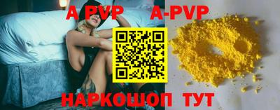 гашик Моздок
