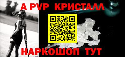 гашик Моздок