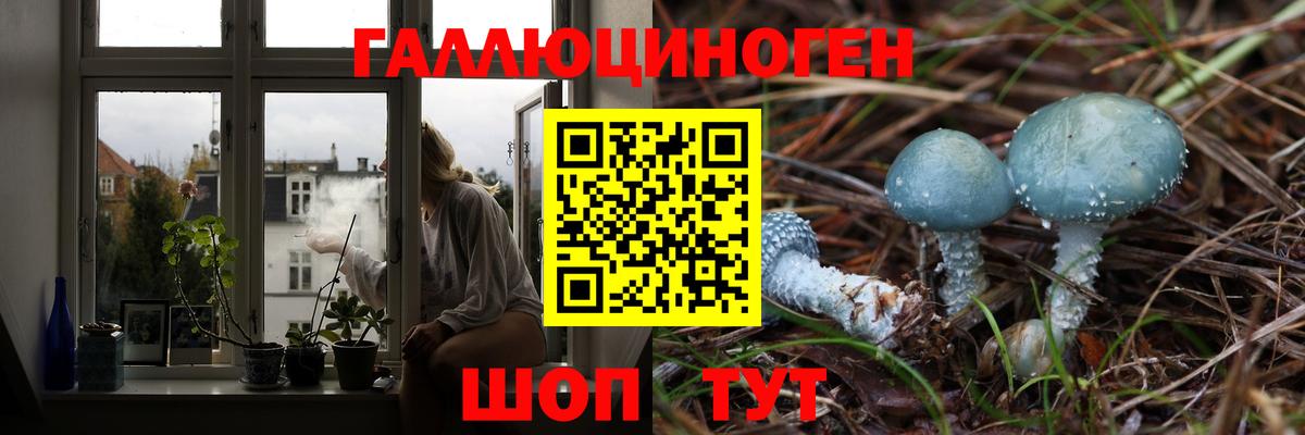 Галлюциногенные грибы MAGIC MUSHROOMS Шатура